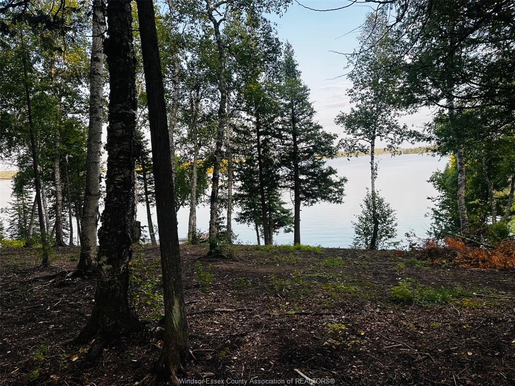 MLS# 26023162: 7 SOAPSTONE POINT Road, Dryden, Canada