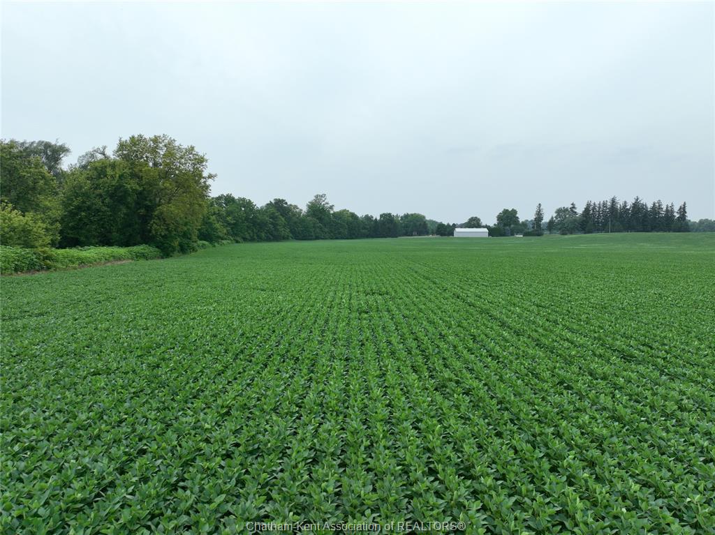 MLS# 26023460: BEDFORD Road, Chatham, Canada