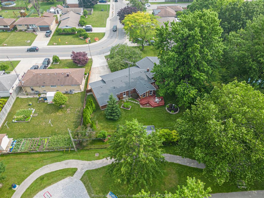 Leamington Properties Real Estate Listings Windsor Lakeshore